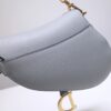 Dior Saddle