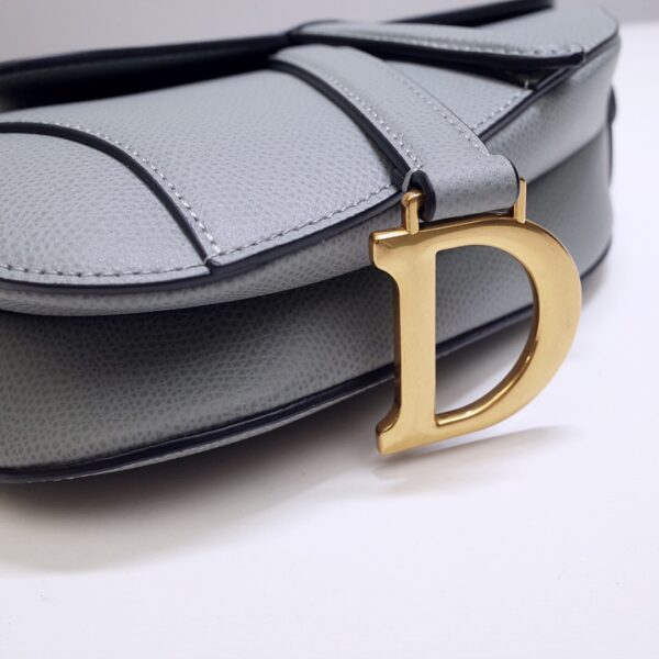 Dior Saddle