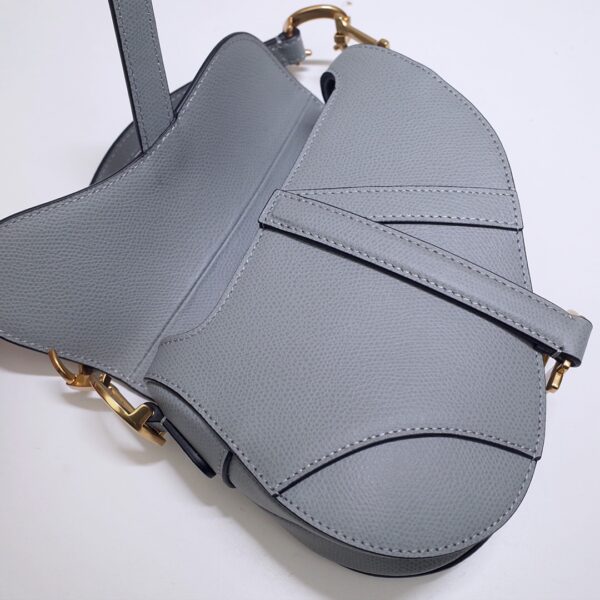 Dior Saddle