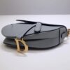 Dior Saddle