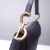 Dior Saddle