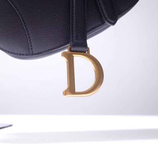 Dior Saddle
