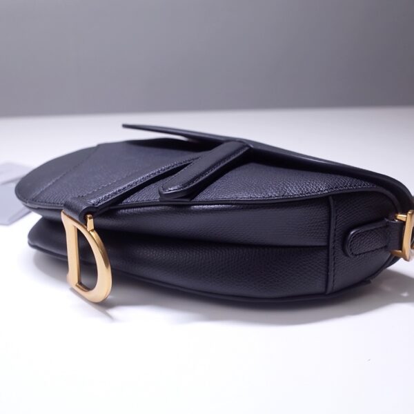Dior Saddle