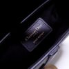 Dior Saddle
