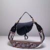 Dior Saddle