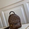 Louis vuitton Palm Springs Mini