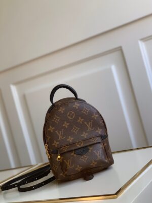 Louis vuitton Palm Springs Mini