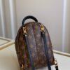 Louis vuitton Palm Springs Mini