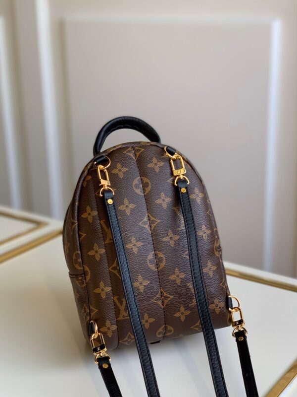 Louis vuitton Palm Springs Mini