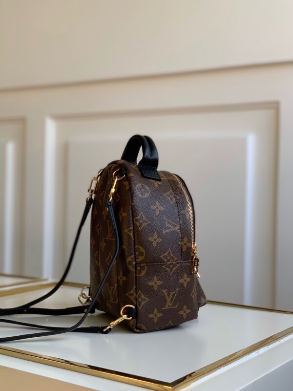 Louis vuitton Palm Springs Mini