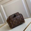 Louis vuitton Palm Springs Mini