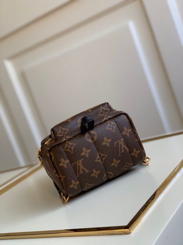 Louis vuitton Palm Springs Mini