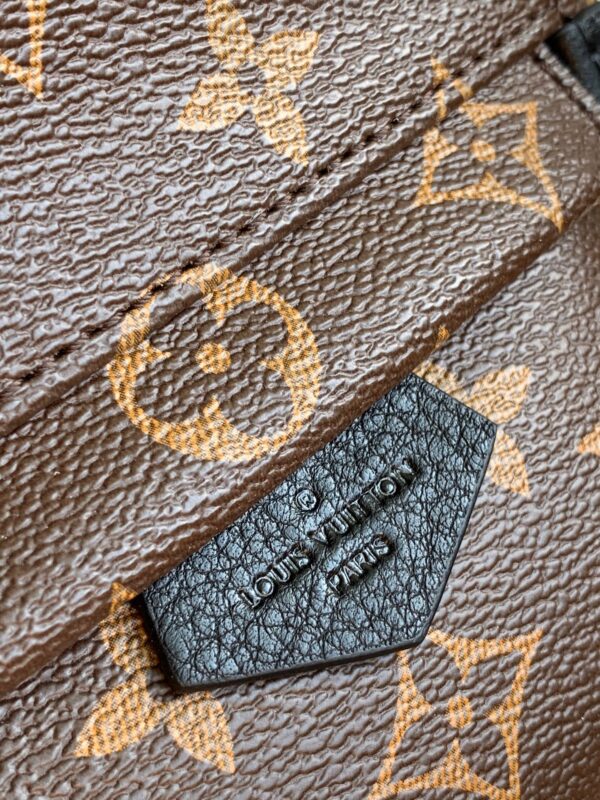 Louis vuitton Palm Springs Mini