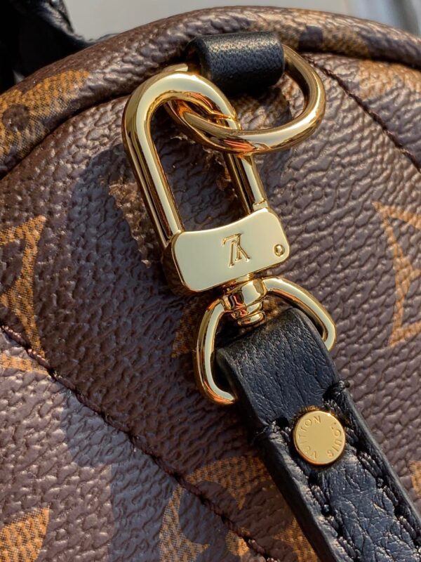 Louis vuitton Palm Springs Mini