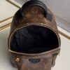 Louis vuitton Palm Springs Mini