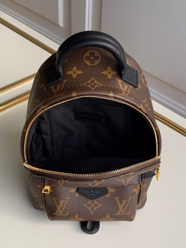 Louis vuitton Palm Springs Mini