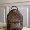 Louis vuitton monogram backpack pm