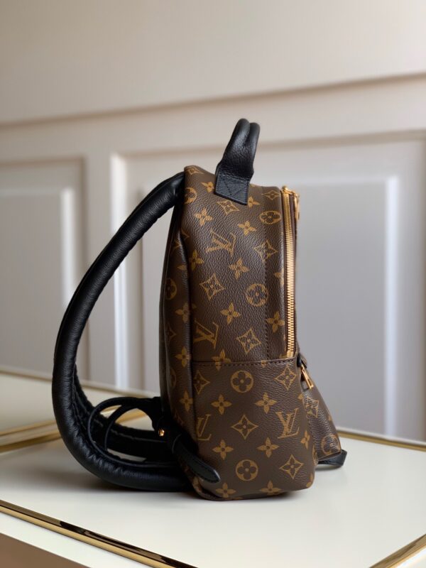 Louis vuitton monogram backpack pm