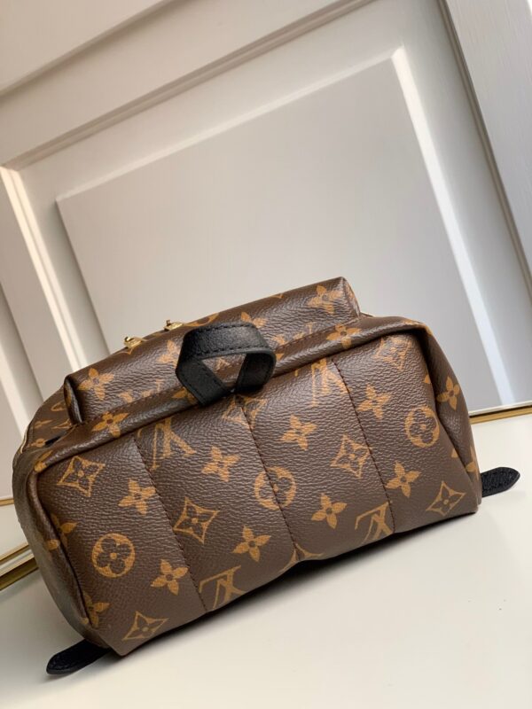 Louis vuitton monogram backpack pm