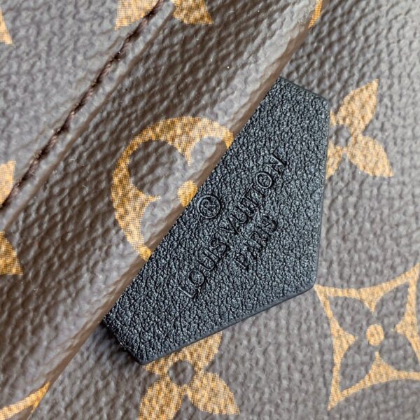 Louis vuitton monogram backpack pm