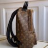 Louis vuitton monogram backpack GM