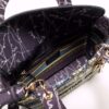 Lady Dior