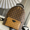 Louis vuitton monogram backpack GM