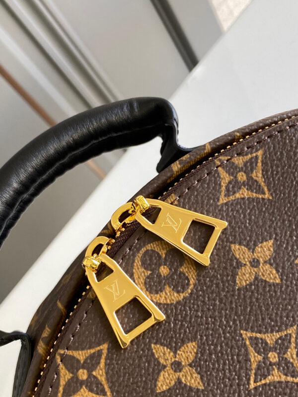 Louis vuitton monogram backpack GM