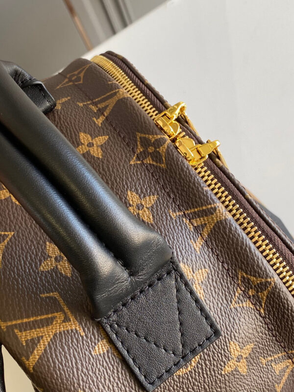Louis vuitton monogram backpack GM