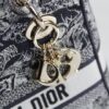 Lady Dior
