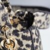 Lady Dior