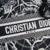 Lady Dior