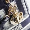 Lady Dior