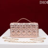 Mini Miss Dior Bag