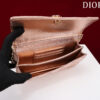 Mini Miss Dior Bag