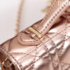 Mini Miss Dior Bag