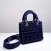 Lady Dior