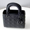 Lady Dior