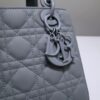 Lady Dior