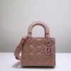 Lady Dior