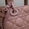 Lady Dior