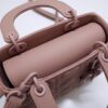 Lady Dior