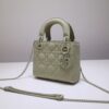 Lady Dior