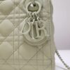 Lady Dior
