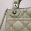 Lady Dior
