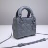 Lady Dior