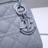 Lady Dior