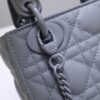 Lady Dior