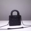 Lady Dior