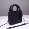 Lady Dior